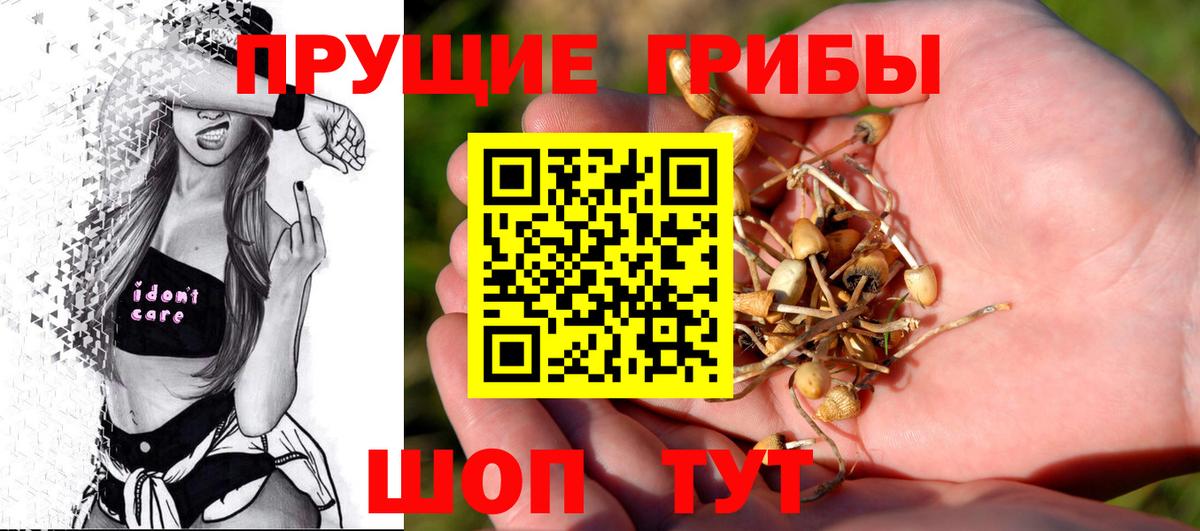 Топки  купить наркотики сайты  Псилоцибиновые грибы мухоморы  Вход с VPN  Псилоцибиновые грибы Cubensis 